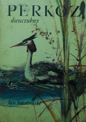 Perkoz dwuczubny - Jan Sokołowski
