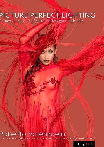 Picture Perfect Lighting - Roberto Valenzuela