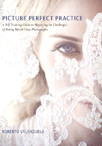 Picture Perfect Practice: A Self-Training Guide to Mastering the Challenges of Taking World-Class Photographs - Roberto Valenzuela
