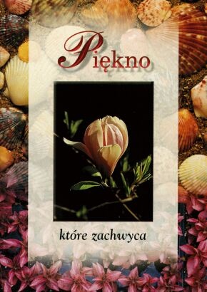 Piękno, które zachwyca - praca zbiorowa