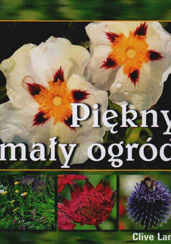 Piękny mały ogród - Clive Lane