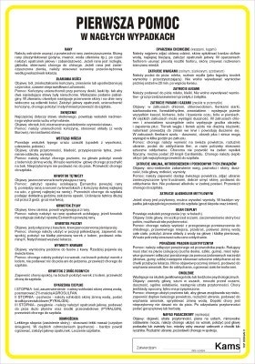 Pierwsza pomoc w nagłych wypadkach - Paweł Krzywda