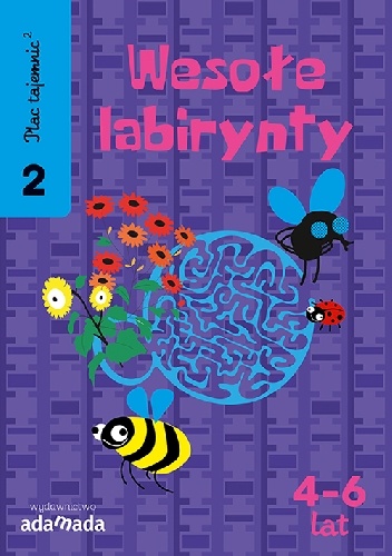 Plac Tajemnic 2. Wesołe labirynty 2. 4-6 lat - Aleksandra Golecka-Mazur