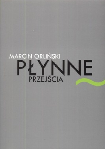 Płynne przejścia. Szkice o współczesnej poezji polskiej - Marcin Orliński