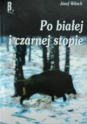 Po białej i czarnej stopie - Józef Wiloch