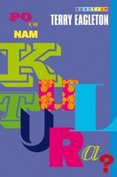 Po co nam kultura? - Terry Eagleton