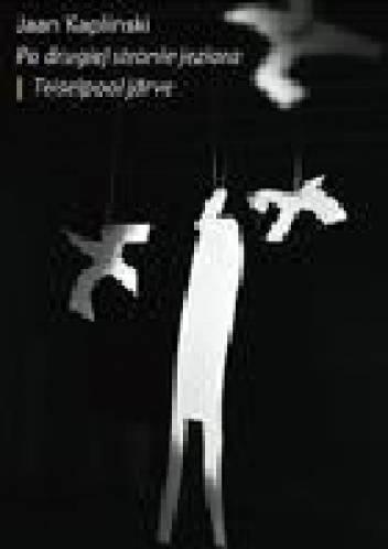 Po drugiej stronie jeziora - Jaan Kaplinski