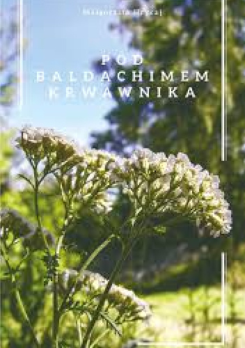 Pod  baldachimem krwawnika - Małgorzata Hrycaj