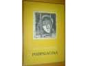 Podpalaczka. Obrazki wiejskie z przed lat trzydziestu - Adolf Dygasiński