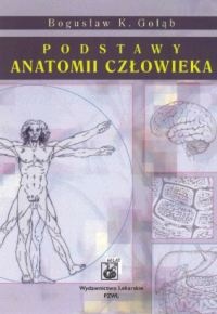 Podstawy anatomii człowieka - Bogusław K. Gołąb