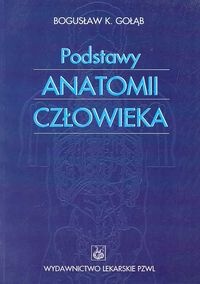 Podstawy anatomii człowieka - Gołąb Bogusław K. - Bogusław K. Gołąb