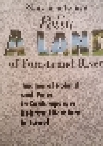 Polin- A land of forests and rivers: Images of Poland and Poles in Contemporary Hebrew Literature in Israel - Shoshana Ronen