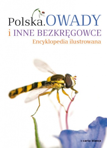 Polska. Owady i inne bezkręgowce - praca zbiorowa