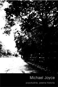 popołudnie, pewna historia - Michael Joyce