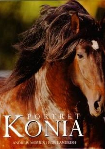 Portret konia - Bob Langrich