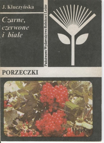 Porzeczki. Czarne, czerwone i białe - Jadwiga Kluczyńska