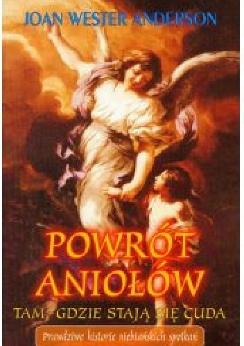 Powrót aniołów. Tam, gdzie stają się cuda. Prawdziwe historie niebiańskich spotkań - Joan Wester Anderson