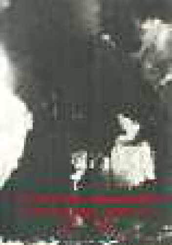Powstanie warszawskie w historiografii i literaturze 1944-1994 - Zygmunt Piotr Mankowski, Jerzy Święch