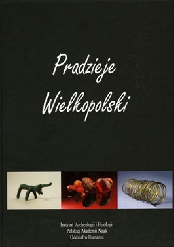 Pradzieje Wielkopolski. Od epoki kamienia do średniowiecza - praca zbiorowa, Michał Kobusiewicz