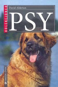 Psy - David Alderton