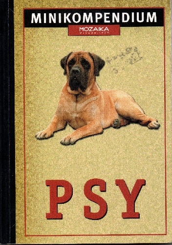 Psy. Minikompendium - Rino Falappi