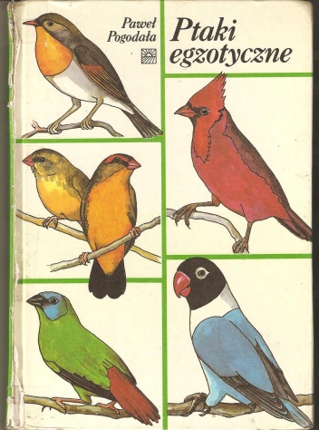 Ptaki egzotyczne - Paweł Pogodała