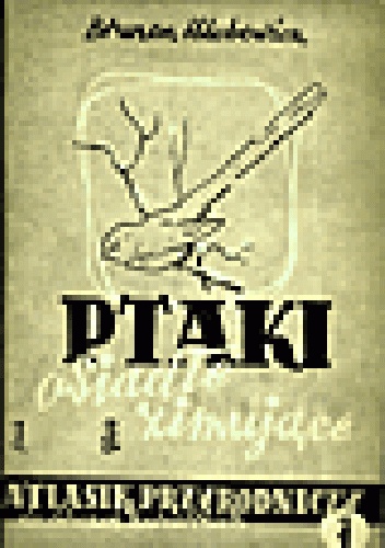 Ptaki osiadłe i zimujące. Atlasik przyrodniczy do ćwiczeń harcerskich - Brunon Hlebowicz