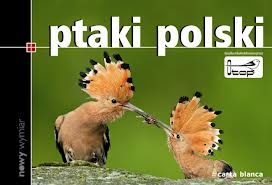 Ptaki Polski - Marcin Karetta
