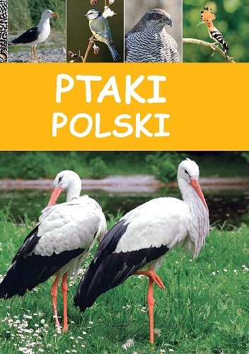 Ptaki Polski - praca zbiorowa