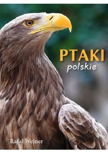 Ptaki polskie. Poznajemy zwierzęta - Rafał Wejner