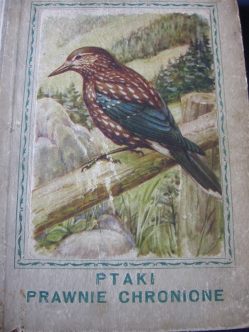 Ptaki prawnie chronione - Henryk Piaskowski