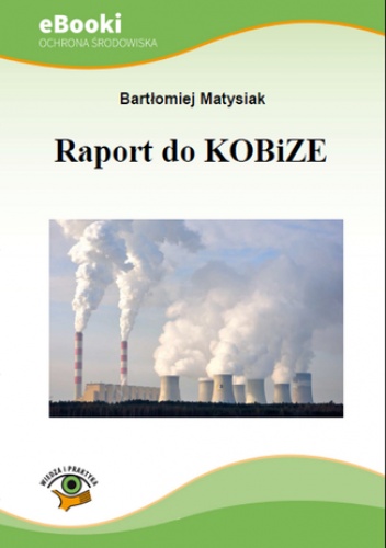 Raport do KOBiZE - Matysiak Bartłomiej