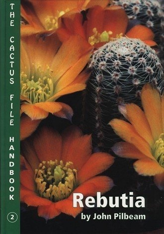 Rebutia by John Pilbeam - John Pilbeam