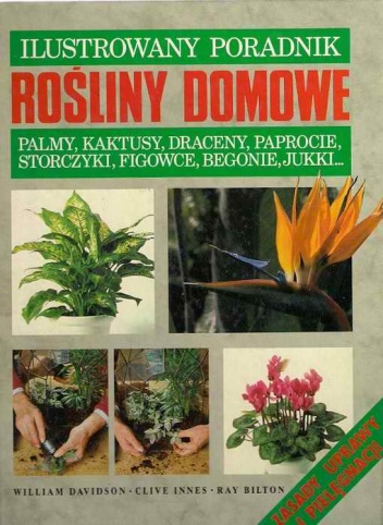 Rośliny domowe