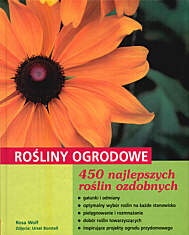 Rośliny ogrodowe 450 najlepszych roślin ozdobnych - Rosa Wolf
