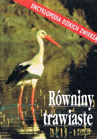 Równiny trawiaste - Catherine Nicolle