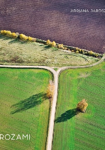 Rozdrożami - Adriana Jarosz