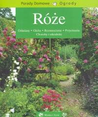 Róże - Elżbieta Traczewska-Zych