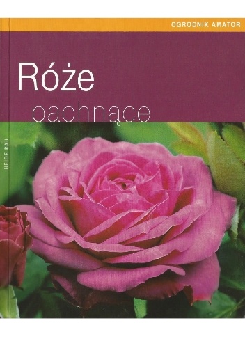 Róże pachnące - Heide Rau