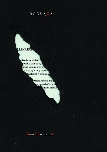 Rozłąka - Kamil Kwidziński