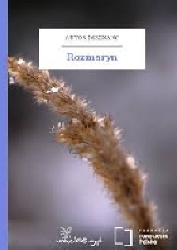 Rozmaryn - autor nieznany