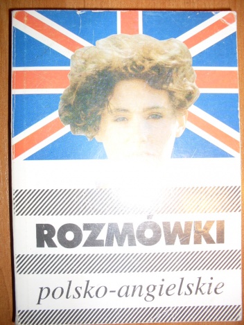 Rozmówki polsko-angielskie - Piotr Wrzosek, Maciej Tichy