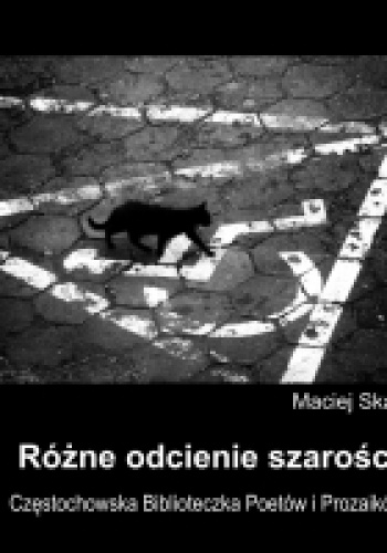 Różne odcienie szarości - Maciej Skalik