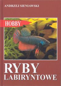 Ryby labiryntowe - Andrzej Sieniawski