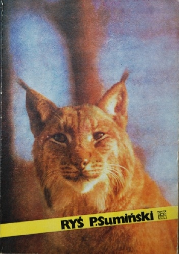 Ryś - Piotr Sumiński