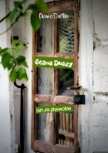 Seans Duszy - Dawid Dańko