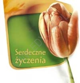 Serdeczne życzenia - praca zbiorowa