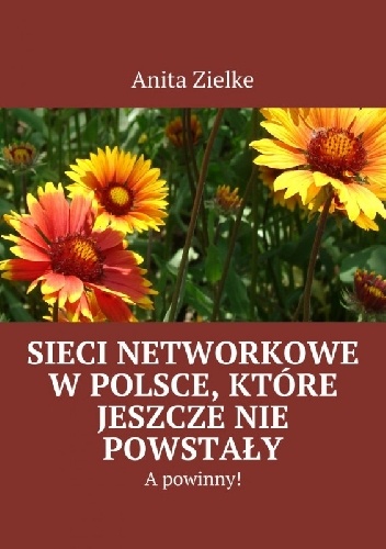 Sieci Networkowe w Polsce, które jeszcze nie powstały. A powinny! - Anita Zielke