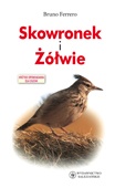 Skowronek i żółwie - Bruno Ferrero