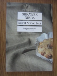 Skrawek nieba - Robert Newton Peck
